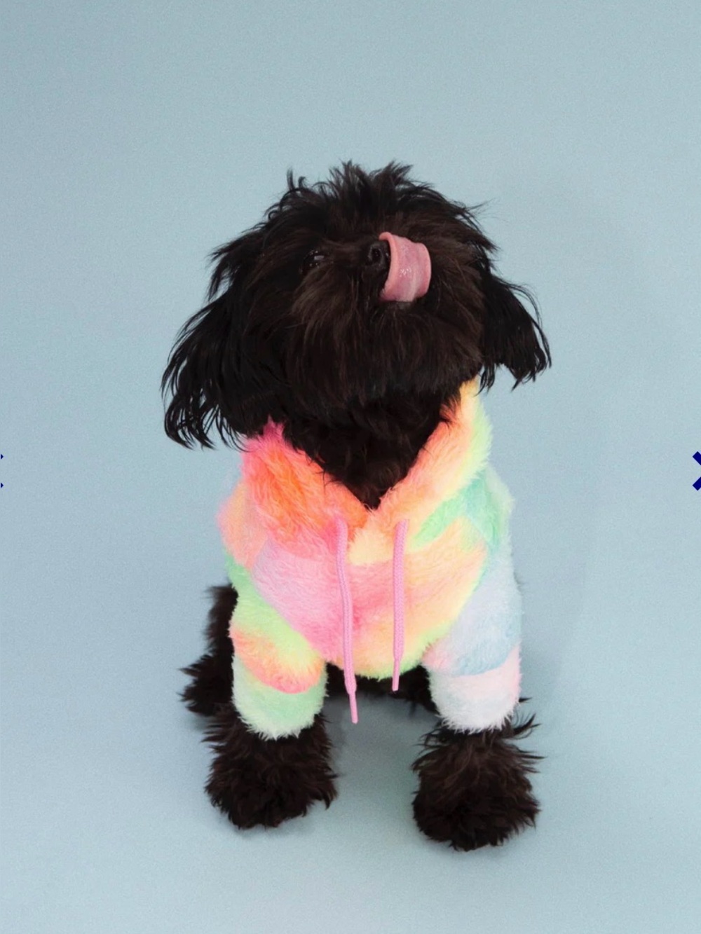 Little Beast Pastel Rainbow Dog Hoodie - Pet Sweatshirt - Pineapple Express